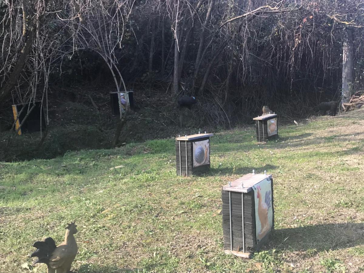 Pizzicalaluna Pianoro Εξωτερικό φωτογραφία